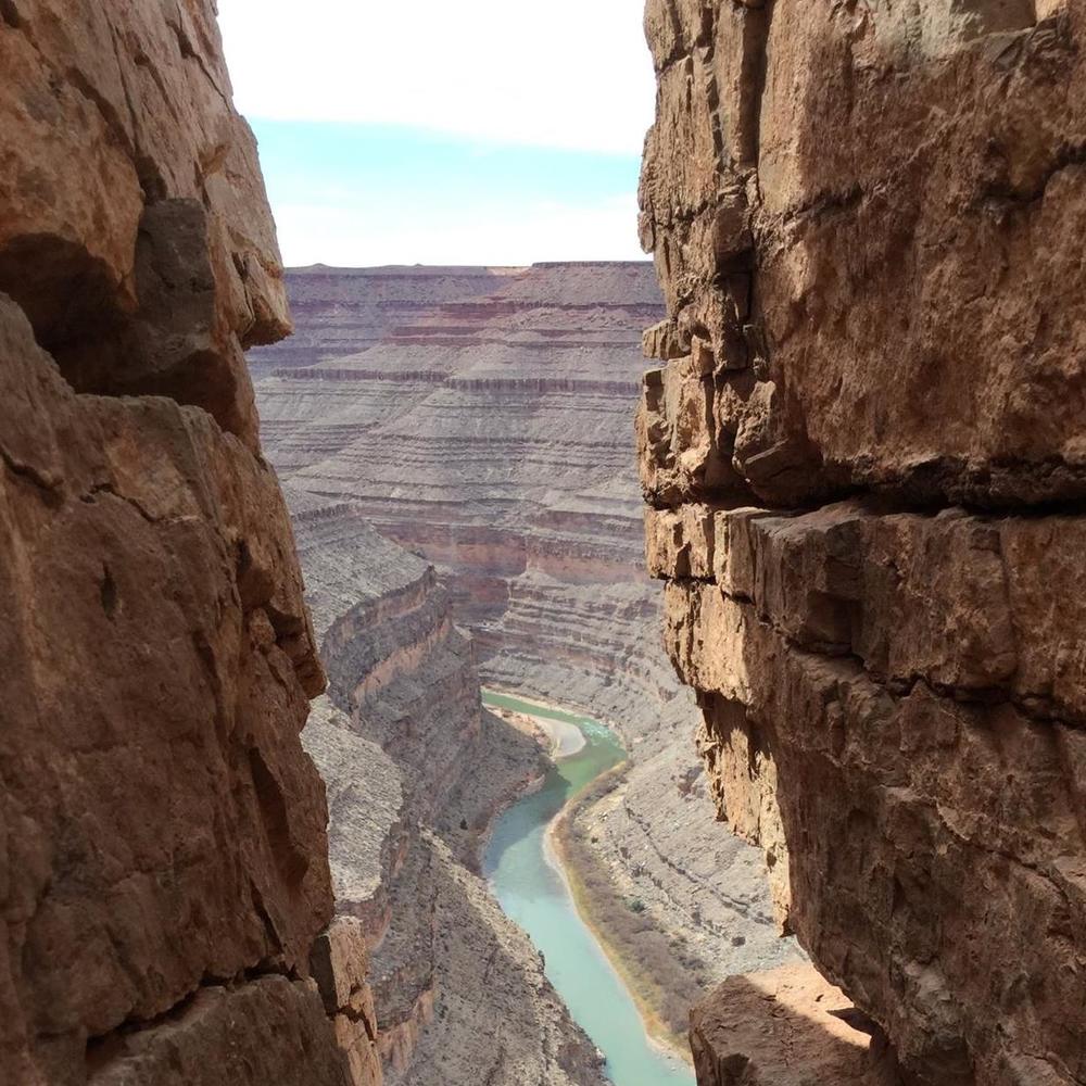 Meet your Posher, Beth